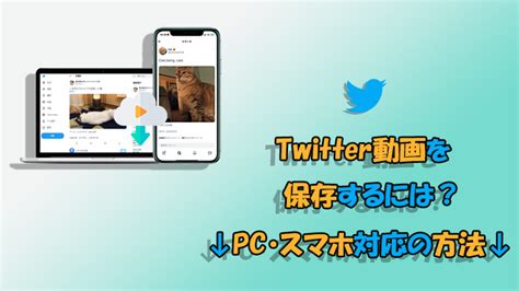 twitter100リアルタイム  In addition to searching, we also provide you with a compact summary of popular information on X (formerly Twitter), interesting images, interesting videos, and other popular information