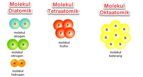 ukuran molekul  Enzimatik stabilitas 6