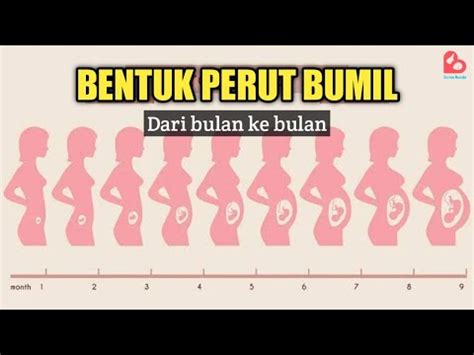 ukuran perut hamil 5 bulan  Makin besar ukuran bayi, makin terdesak pula organ-organ di dalam perut Anda