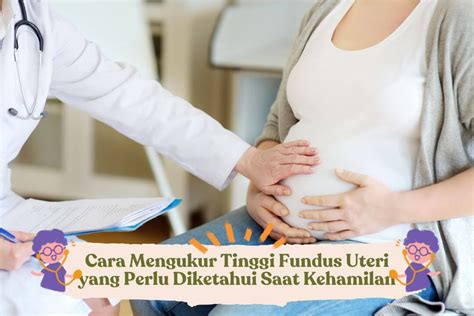 ukuran perut hamil 8 minggu Kondisi calon ibu ketika hamil 2 bulan