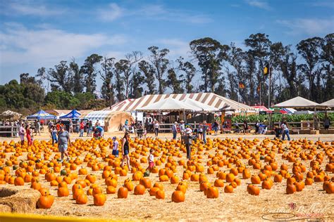 underwood family farms somis  About Somis; Somis Animal Center; Somis Farm Market; Pick Your Own; Pick Your Own Calendar; Shop