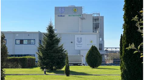 unilever ploiesti angajari  2 800 - 3 200 lei /