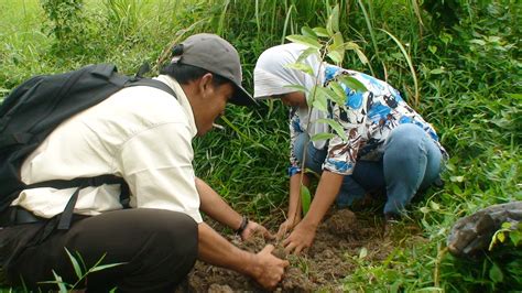 upaya pelestarian tanah dengan metode vegetatif metode vegetatif 3
