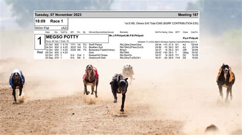 upcoming greyhound race cards  Upcoming Race Card Summary Reserves Reserves 27-Sep-23 Racecard for Kilkenny: (View/Print PDF Front Page) (View/Print PDF Race Card) (View/Print PDF Floating Reserves) View Race: Race 1 Welcome To Kilkenny Track SIS Meeting A7 525 08:12 Approx