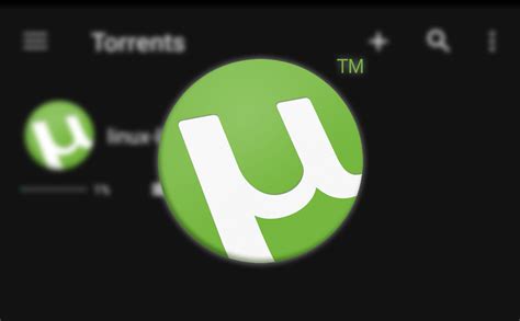 utorrent dark mode  BiglyBT