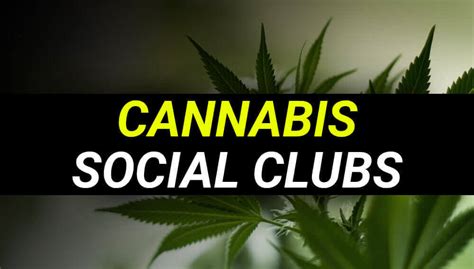 valencia weed social club  A spectrum of cannabis clubs seeks to cultivate atmospheres spanning from gothic nuances, catering to discreet corner