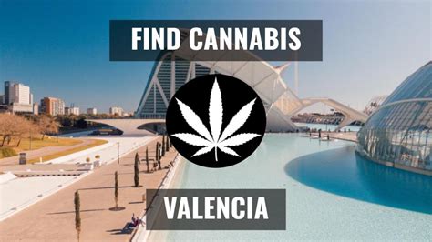 valencia weed social club  Some clubs may charge a membership fee, which can range from a few