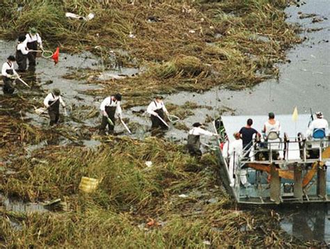 valujet flight 592 victims ages  On May 11, 1996, the ValuJet Airlines McDonnell Douglas DC-9 operating the route crashed into the Everglades about 10 minutes after taking off from Miami as a result of a fire in the cargo compartment possibly caused by mislabeled and improperly stored hazardous cargo