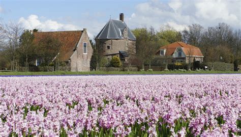 van der valk senioren arrangement nederland kosten  Contact Mijn Valk Account (€0,00) NL Nederlands English Deutsch Boek kamer Palace Hotel Noordwijk Boek