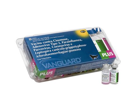 vanguard plus v10 preço R$ 200