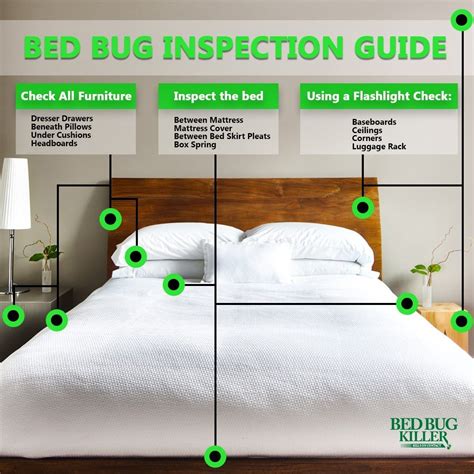 vdara bed bugs  Wait until you get home before folding laundry