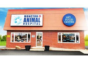 veterinary co2 moncton, nb  Email: info@mountainroadvet