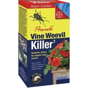 vine weevil killer wilko  Ornamental plants like hydrangeas, rhododendrons, and camellias are susceptible to vine weevil damage