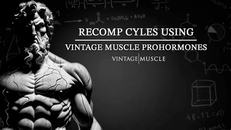 vintage muscle alpha test stack reviews  Quantity