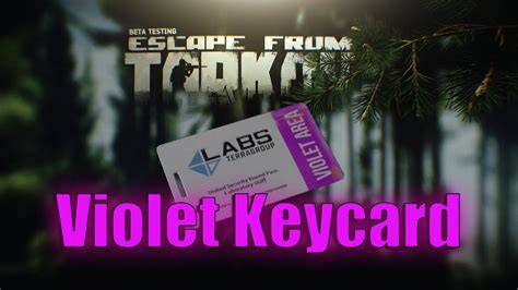 violet keycard tarkov  Woods: Spawns in 2 locations near lumbermill: (1) Right side of Trunk of SUV