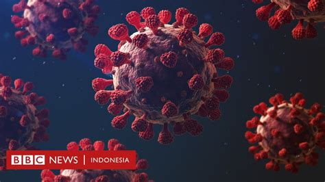 virus di china 2023  Mereka menghidupkan kembali dan mengkarakterisasi 13 patogen baru, yang mereka sebut "virus zombie", dan menemukan bahwa mereka tetap menular meskipun sudah ribuan tahun terperangkap di tanah beku