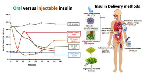 vivaro insulin  Insulin glargine is a long-acting insulin injected once daily and provided a basal insulin level throughout the day