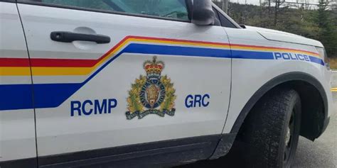 vocm news body found  John’s area