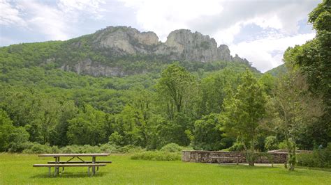 vrbo seneca rocks wv  Belong anywhere with Airbnb