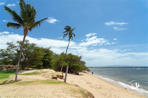 waipu’ilani beach Waipuilani Gulch Stream starts high in the Kula watershed and passes through ranchlands, and passes under Piilani Highway at a large 100-foot span concrete bridge