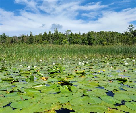 walloon lake association rentals 