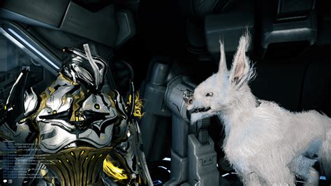 warframe sunika kubrow  Medusa v3 ( pet rework )When you start incubating your egg you immediately receive the kubrow's two main skill mods