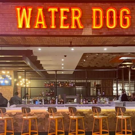 water dog atlantic city Water Dog AC is your go-to restaurant for a casual date night, a night out with friends, a gathering spot for a sporting event, or hosting a large party special occasion