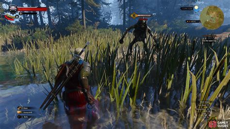 water hag witcher 3 Graveir