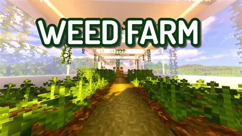 weed plugin minecraft  This plugin is great for Minecraft Survival servers looking to make their game more challenging and enhance the player experience