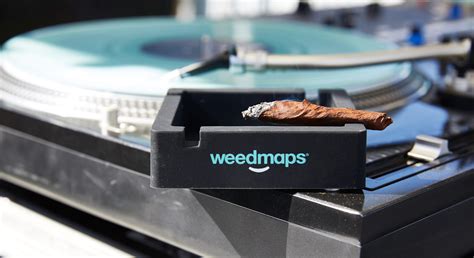 weedmaps lanzarote 6