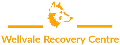 wellvale recovery centre  We believe in digging to the very cause of what our patients' core issues are and treating those