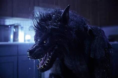 werewolf series reelshort Fated to My Forbidden Alpha is a werewolf genre movie with a captivating storyline