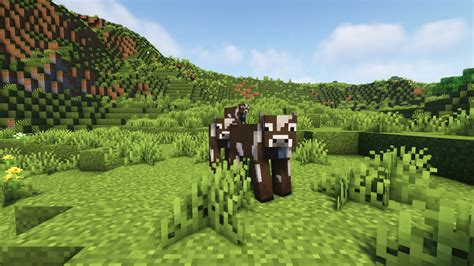 what do mushroom cows eat in minecraft  As before, these creatures often are quite monotonous and ignore most of the surroundings as they were