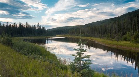 what to do in watson lake  Friends had told us it was a "Must See" for our travels through the Yukon