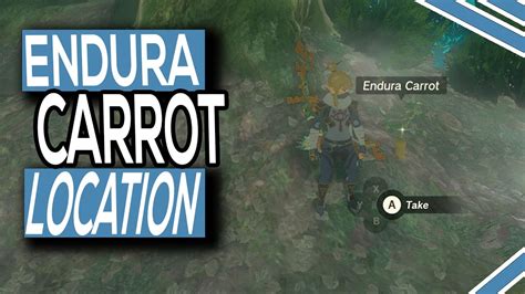 where to find endura carrot totk Breath of the Wild