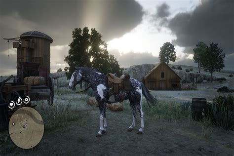 where to find hamish rdr2 story <b> Hold it to cast it long distances</b>