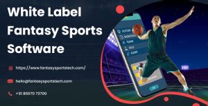 white label fantasy football software Fantasy sports Tech has a panoramic experience when it comes to fantasy sports platform software development services