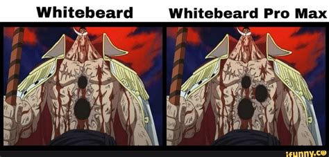 whitebeard meme dick  One Piece