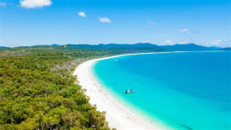 whitehaven beach hotel  Enjoy fine dining in The Dining Room, a dinner show or movie in the David
