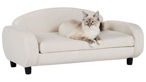 who has put the cat on the sofa  – Secure it with glue or tape if