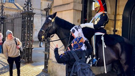 who is the karen at horse guards Empress, the latest military working horse to retire from duties, is off to the wide, open fields of Buckinghamshire