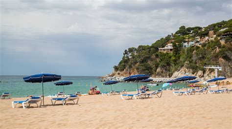 wild club lloret avis Together with the Costa Dorada, the Costa Brava is one of the most beautiful stretches of coastline in Spain and the Mediterranean
