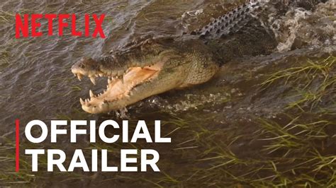 wild croc territory season 2 release date  Release year: 2022