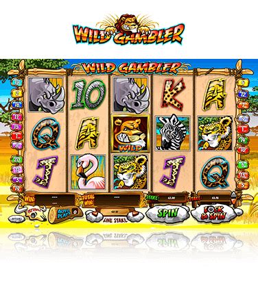 wild gambler deluxe ; What payment methods are available in the wild gambler game – The Rams