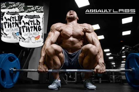 wild thing assault labs 95