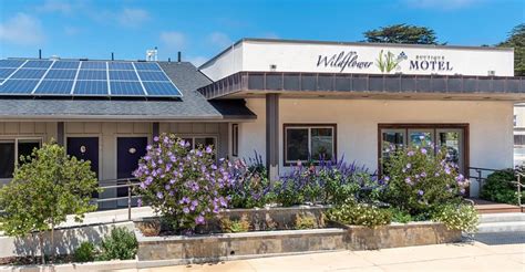 wildflower boutique motel  Wednesday : 9:00 AM - 5:00 PM