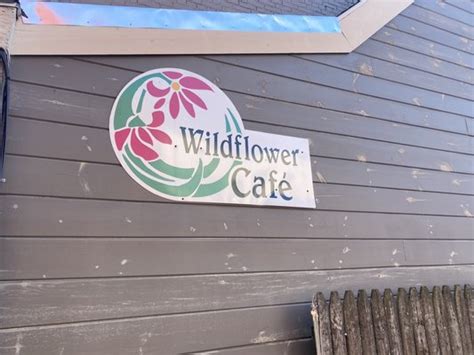 wildflower cafe huntingdon  “ Hidden treasure ” 07/29/2022