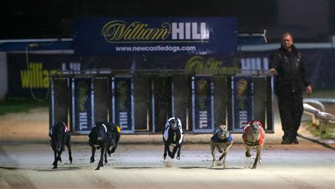 william hill dog results William Hill Offers Offer details William Hill Promo Code; Exclusive welcome offer