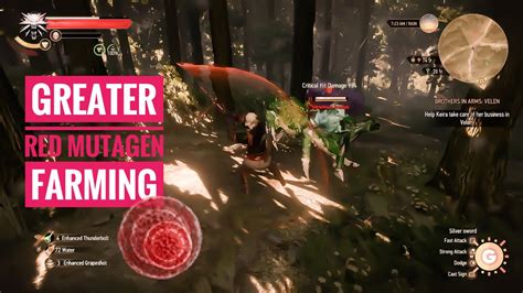 witcher 3 lesser red mutagen  Blood and Wine crafting components