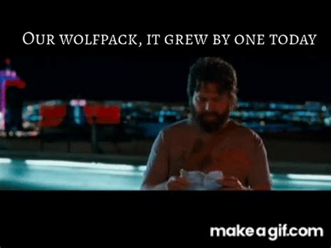 wolfpack hangover gif  On this animated GIF: hangover, part, the wolfpack, from Yojar Download GIF or share You can share gif part, the wolfpack, hangover, in twitter, facebook or instagram